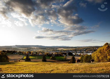 A rural landscape in Norway with cows and a small village