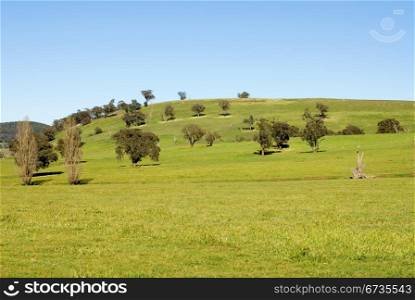 A rural scene, captured near Taralga in New South Wales, Australia