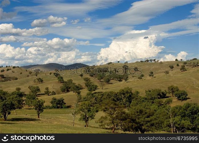A rural scene in country New South Wales