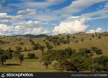 A rural scene in country New South Wales
