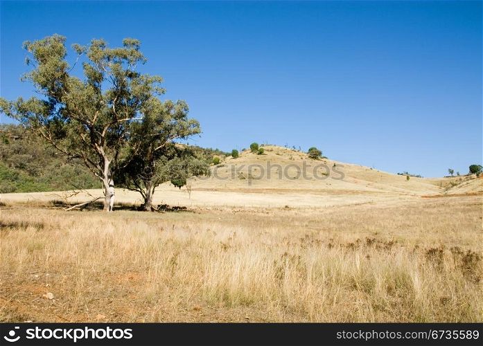 A rural scene, near Mudgee, New South Wales, Australia