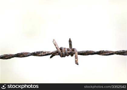 A rusted barbed wire agaist a soft background