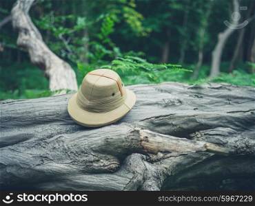 A safari hat is sitting on a fallen tree in the forest