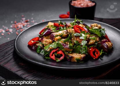 A salad of baked aubergine, sweet pepper, garlic, zucchini and parsley in a black plate against a dark concrete background. Vegetarian food. A salad of baked aubergine, sweet pepper, garlic, zucchini and parsley in a black plate