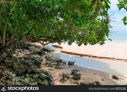 a sandy beach washed by the water of a river that flows into the sea
