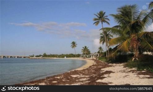 A sandy beach with palm trees at Bahia Honda State Park, Florida Keys.