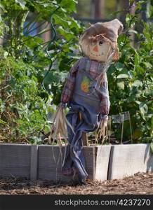 A scarecrow sitting in a community garden