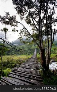 A scary hanging bridge in a tropical landscape