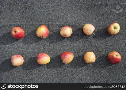 a scattering of red apples on a background of asphalt. red apples on the pavement