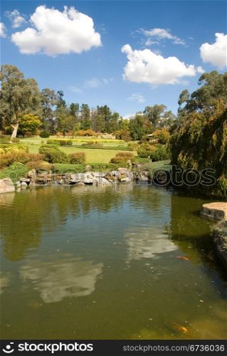 A scene from the Cowra Japanese Garden, New South Wales, Australia