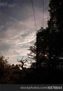 a scene of country with a pylon submerged with the trees outside country with industry and communication and travel sunset
