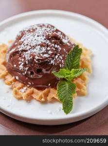 A scoop of chocolate ice cream on a waffle with coconut flakes and leaves of mince in a white plate on a glossy brown table with copy space. Sweet dessert. Top view. Crispy wafer with a scoop of chocolate ice cream decorated with green mint leaves and coconut chips in a plate on a brown glossy background with space for text. Cold dessert. Top view