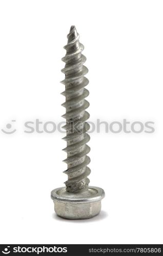 A screw isolated on white
