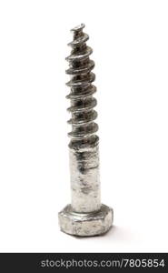 A screw isolated on white background