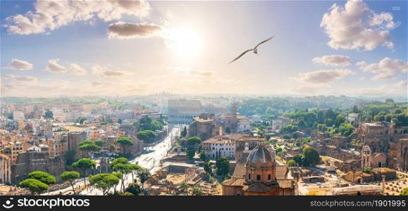 A seagull flies by the Capitoline Hill, Forum, Coliseum, Rome, Italy.