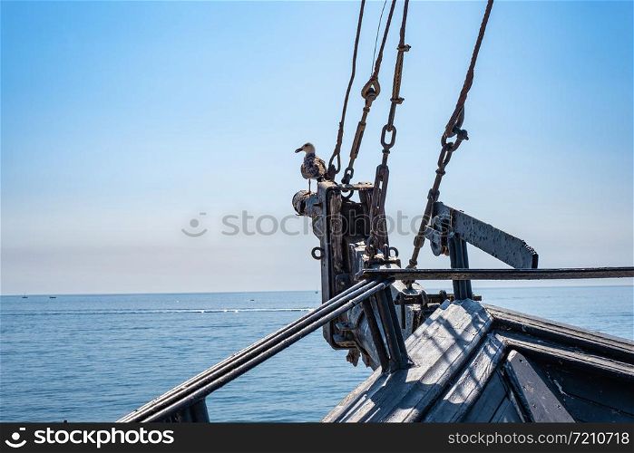 A seagull sits on the bow of a sailing ship and looks at the open sea on a summer sunny day.
