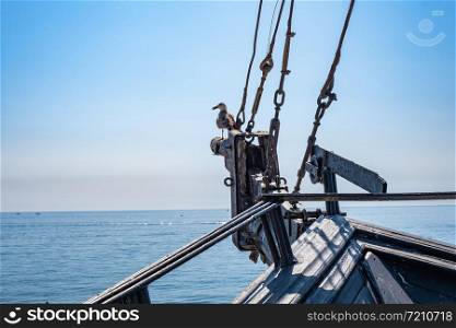 A seagull sits on the bow of a sailing ship and looks at the open sea on a summer sunny day.