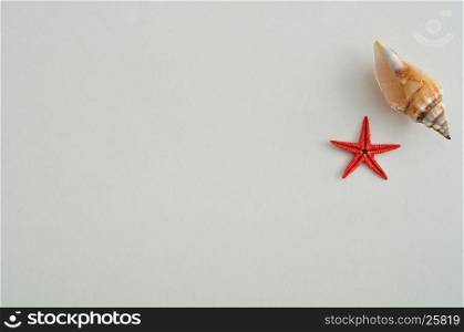 A seashell with a red star fish