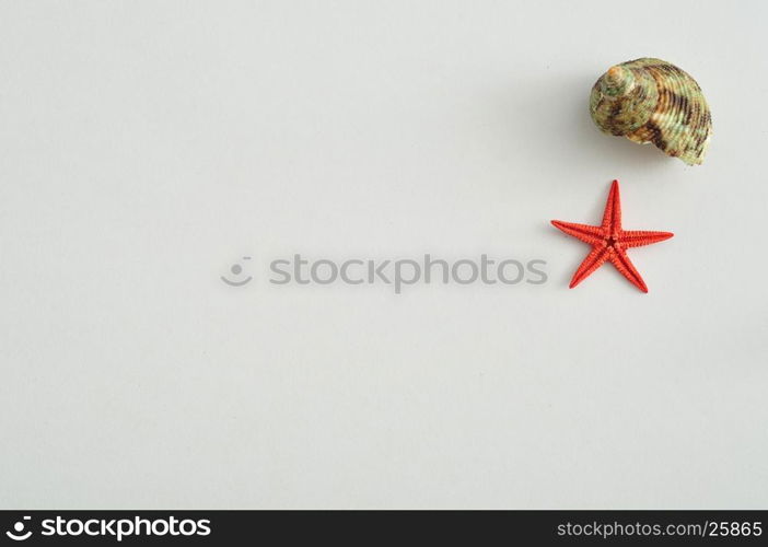 A seashell with a red star fish