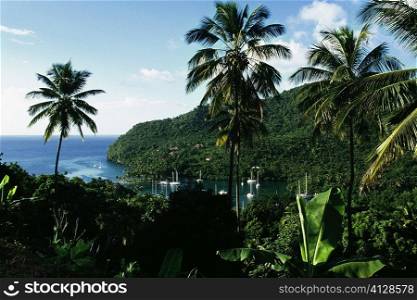 A secluded cove encircled by dense vegetation, St. Lucia, Caribbean