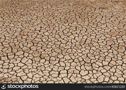A Section of Dried up Land in the Cracks from Lack of Water