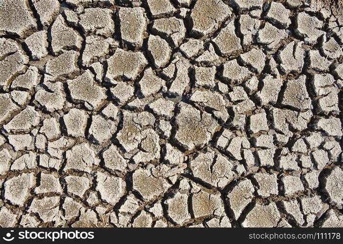 A section of mud flats near a pond on San Juan Island dries into a section of earth with wide cracks.