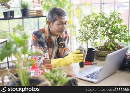 A senior man entrepreneur working with laptop presents houseplants during online live stream at home, selling online concept. Senior man entrepreneur working with laptop presents houseplants during online live stream at home, selling online concept