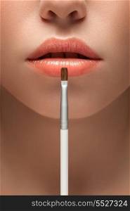 A sensual picture of woman lower face with makeup brush in front of lips.