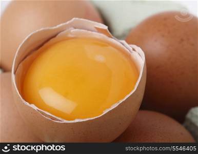 A separated chicken&rsquo;s egg yolk resting in the shell on a carton of brown free-range eggs, macro