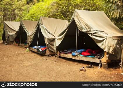 A series of basic canvas tents on wooden tent platforms at a Boy Scout camp provide the basics for shelter and not much more.