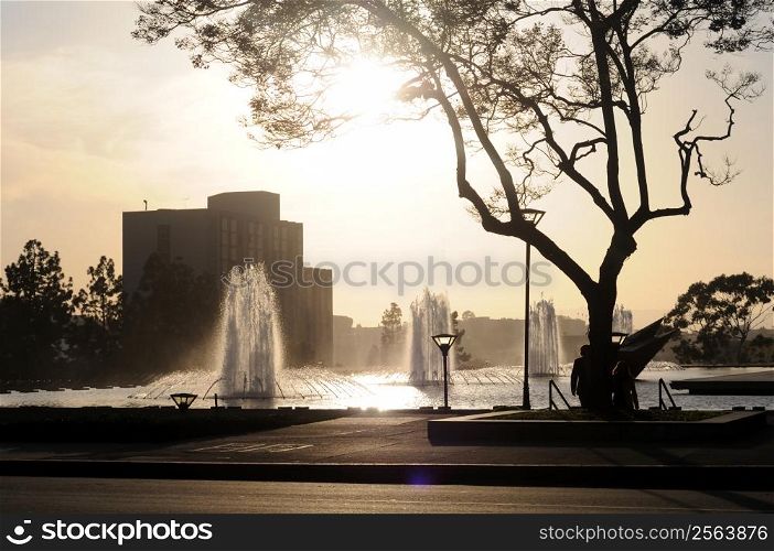 A series of fountains in downtown Los Angeles, near the Department of Water and Power building. A jacaranda tree is silhouetted by the late afternoon sun.