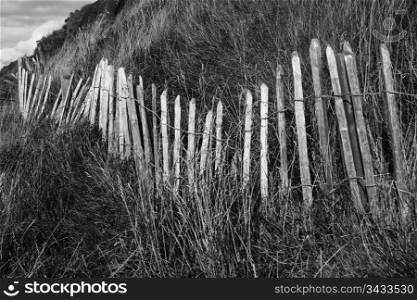 A series of sun-bleached, weather-beaten wood picket slats form an uneven fence acting as a wind barrier on a grassy Scottish hill in Holyrood Park in Edinburgh. They remind me of a series of old bones sticking out of the hill. In black and white.