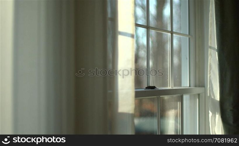 a serious looking man looks out window