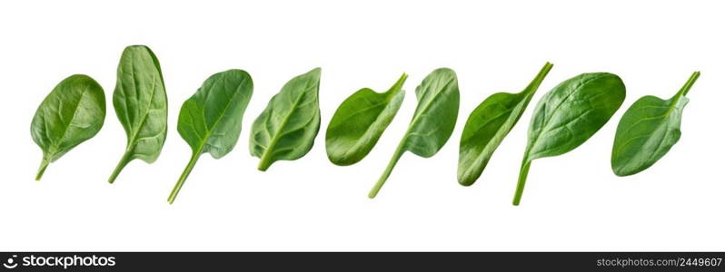 A set of green spinach leaves. Isolated on a white background.. A set of green spinach leaves. Isolated on a white background