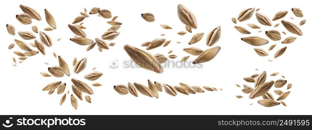 A set of photos. Barley malt grains levitate on a white background.. A set of photos. Barley malt grains levitate on a white background