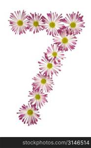 A Seven Made Of Pink And White Daisies