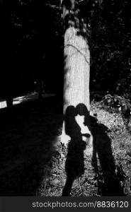 a shadow on the tree beautiful couple kisses, bw. a shadow on tree beautiful couple kisses, bw