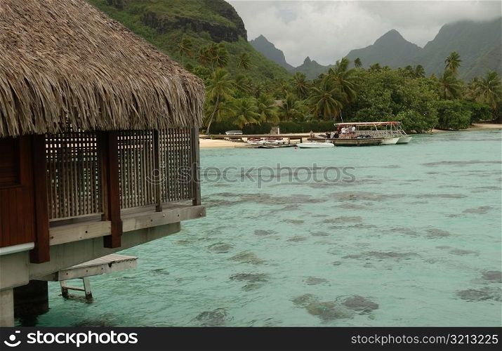 A shallow beach with corals, Moorea, Tahiti, French Polynesia, South Pacific