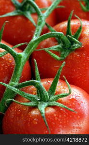 A shallow depth of field image of tomatoes on the vine.