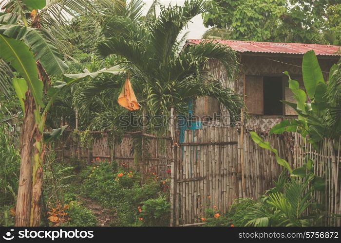 A shandy building in the jungle of a tropical country