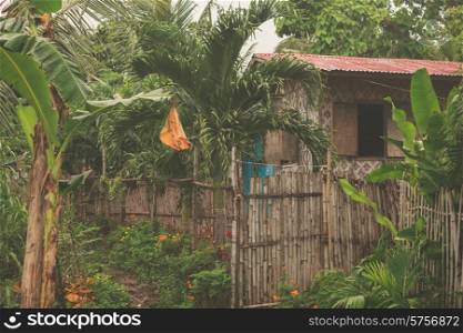 A shandy building in the jungle of a tropical country
