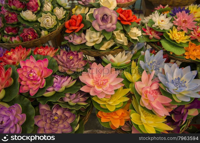 a shop at the Chatuchak Weekend Market in the city of Bangkok in Thailand in Southeastasia.. ASIA THAILAND BANGKOK CHATUCHAK MARKET SHOP