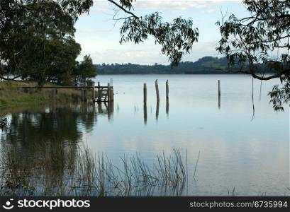 A shoreline scene, in the late afternoon, at Wingecarribee Dam, near Bowral, New South Wales, Australia