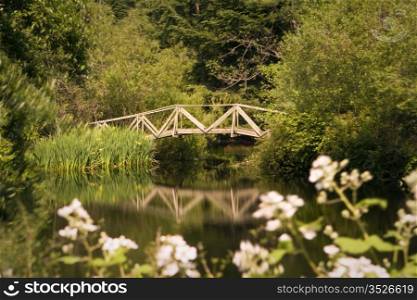 A short wooden footbridge crosses a pond in a peaceful, countryside scene from San Juan Island in Washington State. A long exposure smoothed out the water, leaving a nice reflection. There is some motion blur in the branches.