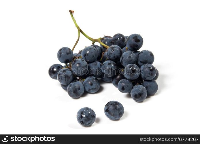 A shot of a bunch of black grapes, laying and isolated on white.
