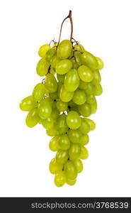 A shot of a bunch of green grapes, laying and isolated on white.