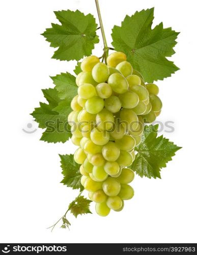 A shot of a bunch of green grapes, laying and isolated on white.