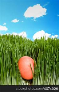 A shot of an easter egg hidden in grass under the blue sky