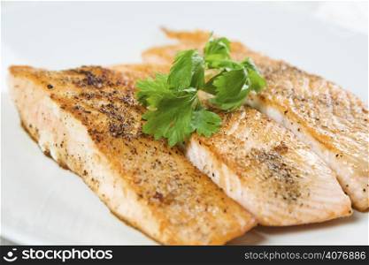 A shot of baked salmon on a white plate