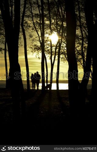 A silhouette shot of a family walking in the park during sunset